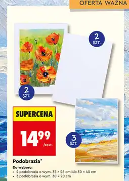 Biedronka Podobrazia LOOZZ oferta