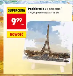 Biedronka Podobrazie ze sztalugą LOOZZ oferta