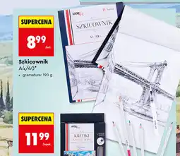 Biedronka LOOZZ Szkicownik A4/40 oferta