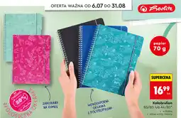 Biedronka Herlitz Kołobrulion B5/80 lub A4/80 oferta