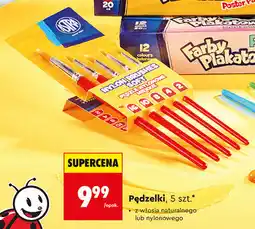 Biedronka Pędzelki, 5szt oferta
