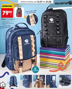 Biedronka Iguana Plecak młodzieżowy oferta