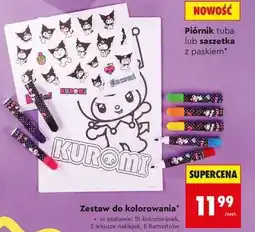 Biedronka Zestaw do kolorowania oferta