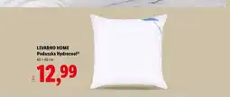 Lidl Poduszka Livarno Home Hydrocool 40x40 cm oferta