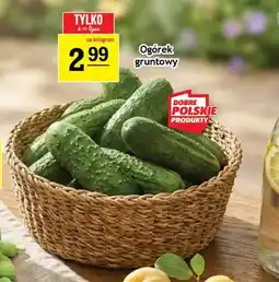 Gram Market Ogórek gruntowy oferta