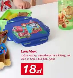 KiK Lunchbox oferta