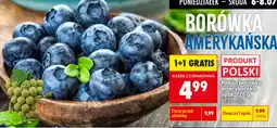 Biedronka Borówka Amerykańska oferta