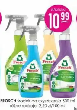 Jaśmin Frosch środek do czyszczenia oferta