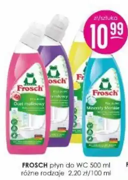 Jaśmin FROSCH płyn do WC oferta