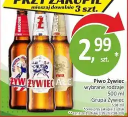 Passa Piwo Żywiciel oferta