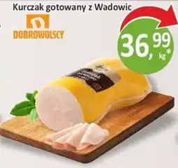 Passa Kurczak gotowany z Wadowic Dobrowolscy oferta