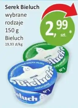 Passa Serek Bieluch wybrane rodzaje oferta