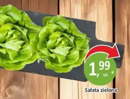 Passa Sałatata zielona oferta