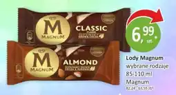Passa Lody Magnum oferta