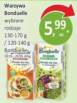 Passa Warzywa Bonduelle wybrane rodzaje oferta