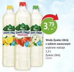 Passa Woda Żywiciel Zdrój z sokiem owocowym oferta