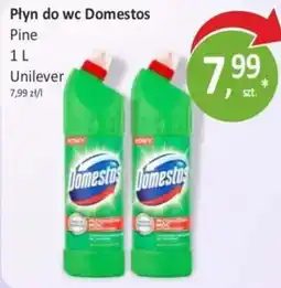 Passa Płyn do wc Domestos Pine oferta