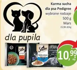 Passa Karma sucha dla psa Pedigree wybrane rodzaje oferta