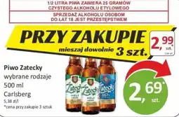 Passa Piwo Zatecky wybrane rodzaje oferta