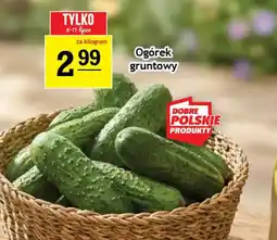 Gram Market Ogórek gruntowy oferta