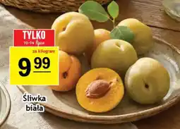 Gram Market Śliwka biała oferta