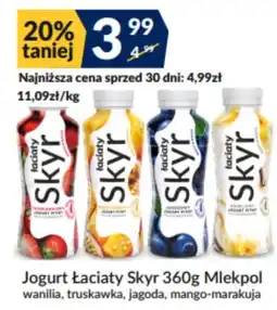 Sużyw Jogurt Łaciaty Skyr oferta