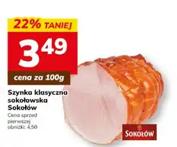 Hitpol Szyinka klasyczna Sokołów oferta