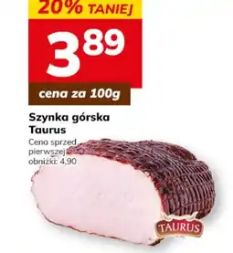 Hitpol Szyinka górskaa Taurus oferta