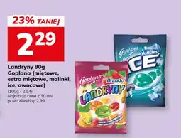 Hitpol Landryny Goplana oferta