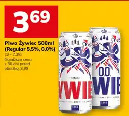 Hitpol Piwo Żywiec oferta