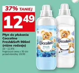 Hitpol Płyn do płukania Coccolino oferta