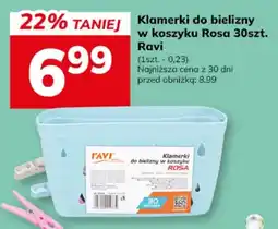 Hitpol Klamerki do bielizny w koszyku Rosa oferta
