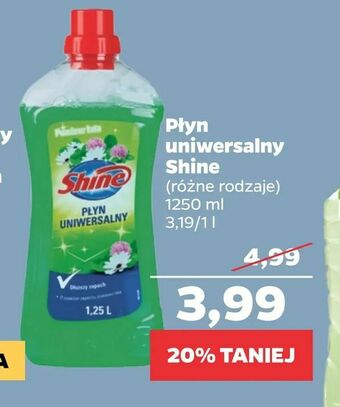 Netto Płyn uniwersalny Shine oferta
