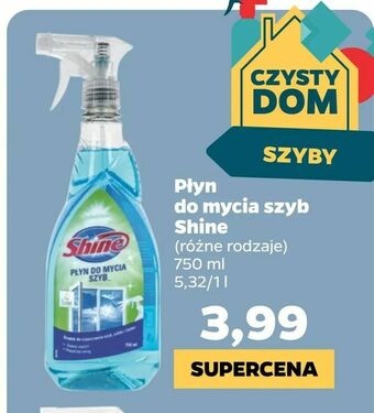 Netto Płyn do mycia szyb Shine oferta