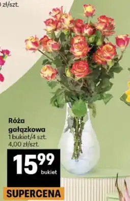 Delikatesy Centrum Róża gałązkowa oferta