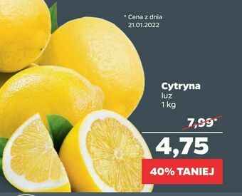 Netto Cytryna oferta