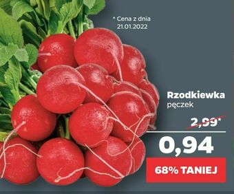 Netto Rzodkiewka oferta
