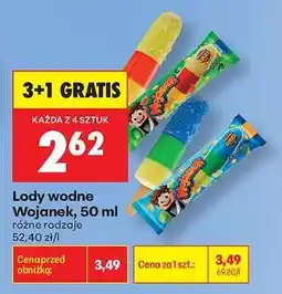 Biedronka Lody wodne Wojanek, 50 ml oferta