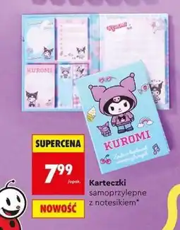 Biedronka Karteczki samoprzylepne z notesikiem oferta
