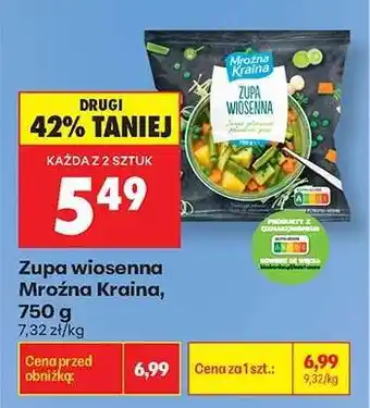 Biedronka Zupa wiosenna Mroźna Kraina, 750 g oferta