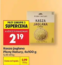 Biedronka Kasza jaglana Plony Natury, 4x100 g oferta