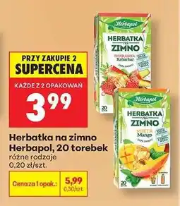 Biedronka Herbatka na zimno Herbapol, 20 torebek oferta