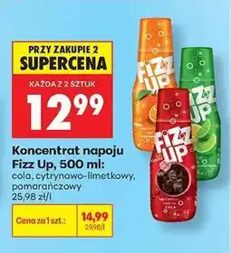 Biedronka Koncentrat napoju Fizz Up, 500 ml oferta