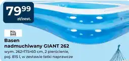 Mrówka Basen Pol Gar oferta
