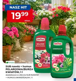 Mrówka Nawóz Substral oferta