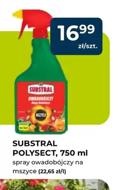 Mrówka Spray na owady Substral oferta