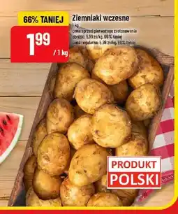 Polomarket Ziemniaki wczesne oferta