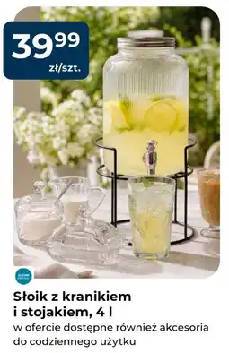 Mrówka Słoik oferta