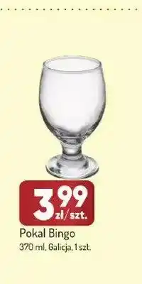 Avita Pokal Bingo Galicja oferta