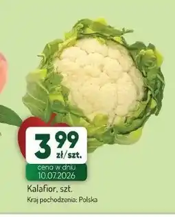 Avita Kalafior oferta
